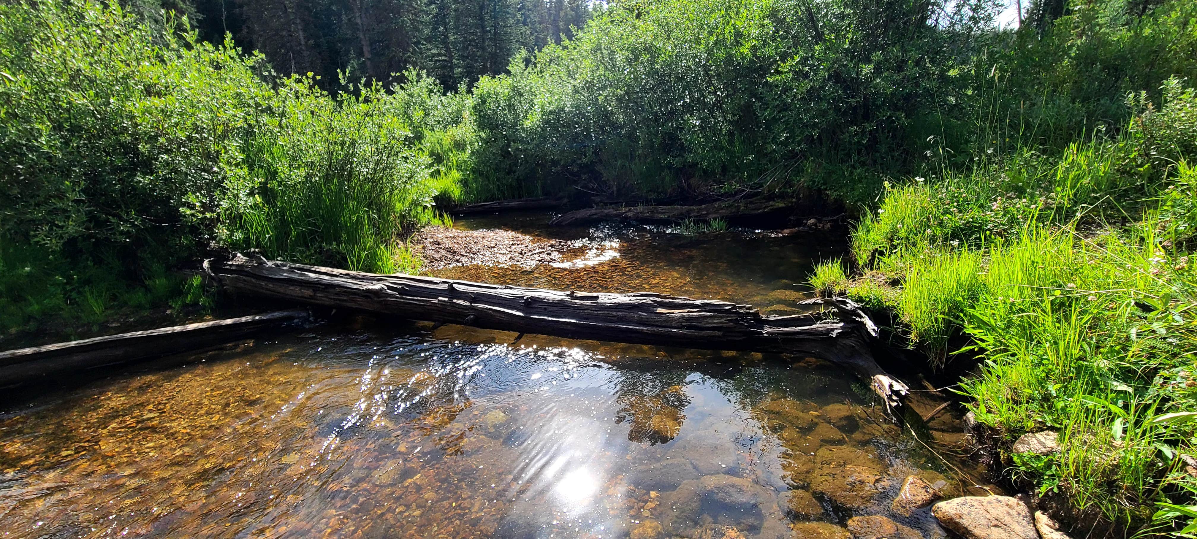 Camper submitted image from North Park Campground - 3