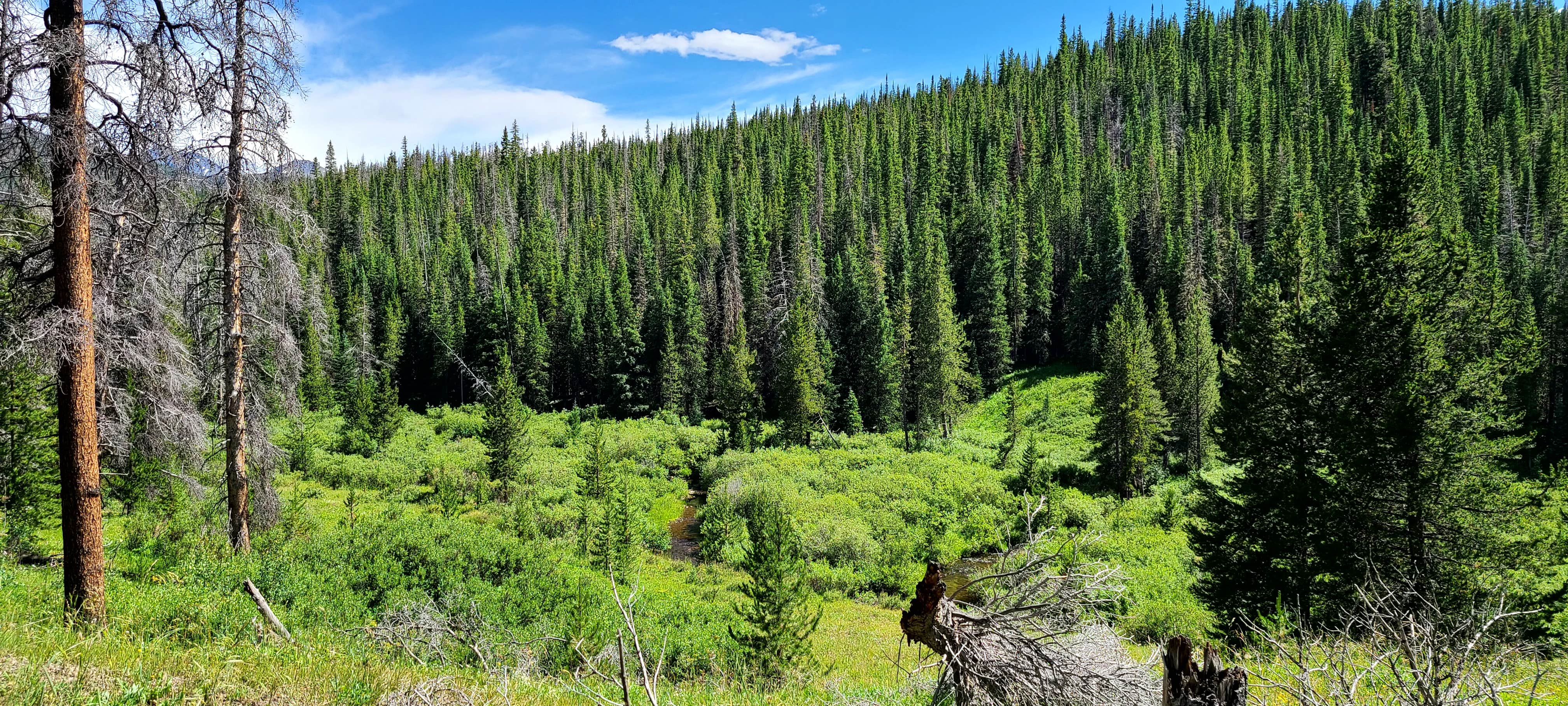 Camper-submitted photo at North Park Campground near Medicine Bow-Routt National Forests and Thunder Basin National Grassland