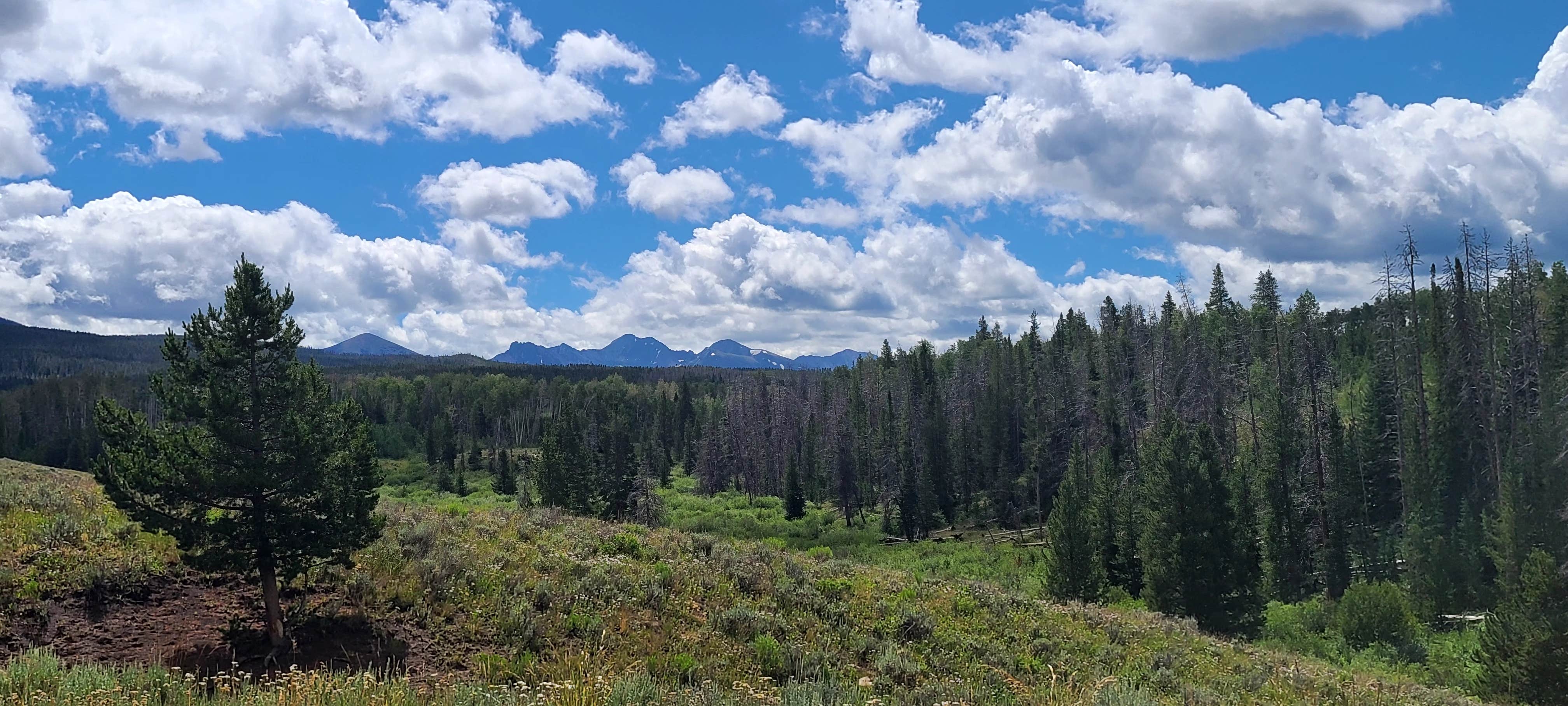 Camper-submitted photo at North Park Campground near Medicine Bow-Routt National Forests and Thunder Basin National Grassland