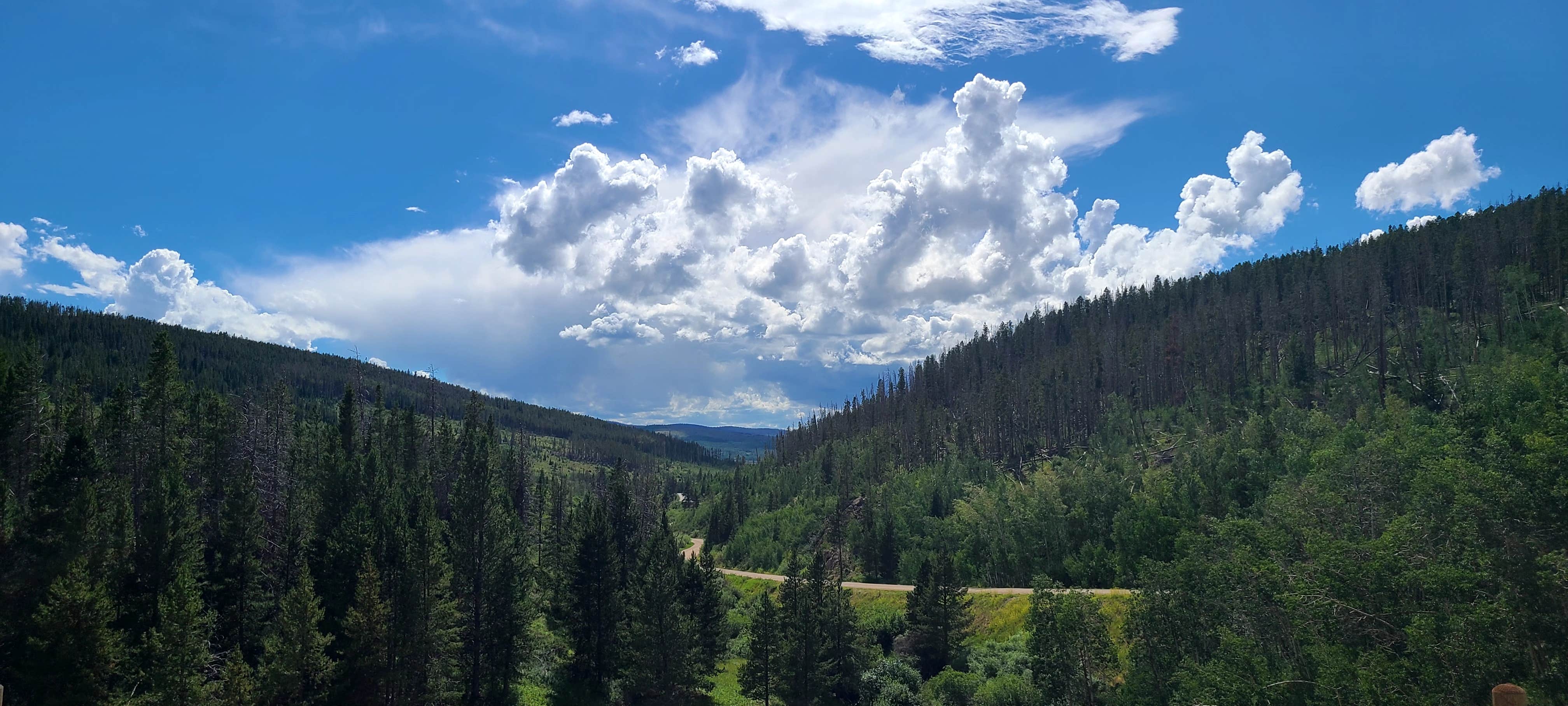 Camper-submitted photo at North Park Campground near Medicine Bow-Routt National Forests and Thunder Basin National Grassland