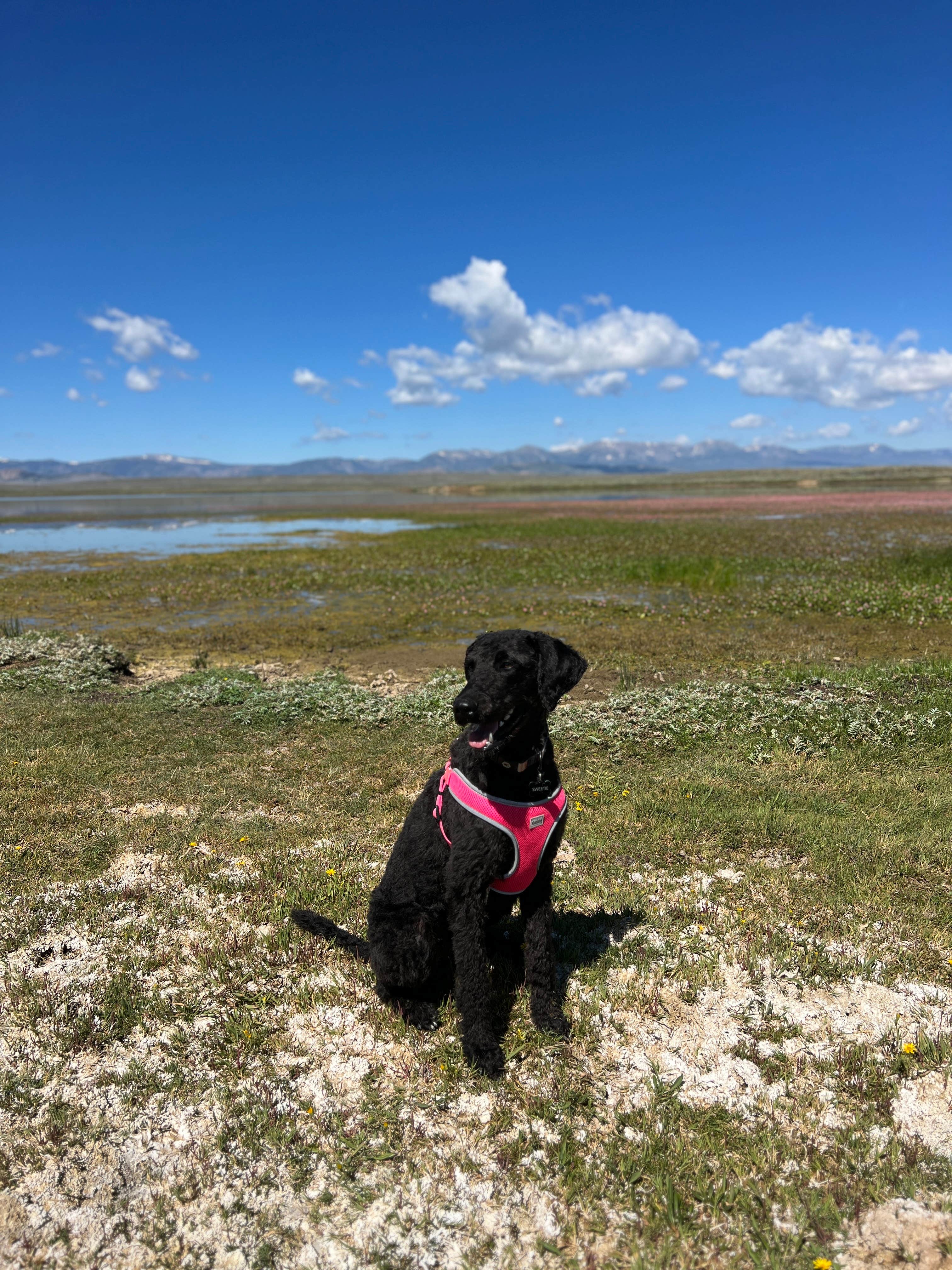 Camper-submitted photo at Walden Reservoir Dispersed Camping near Coalmont, CO