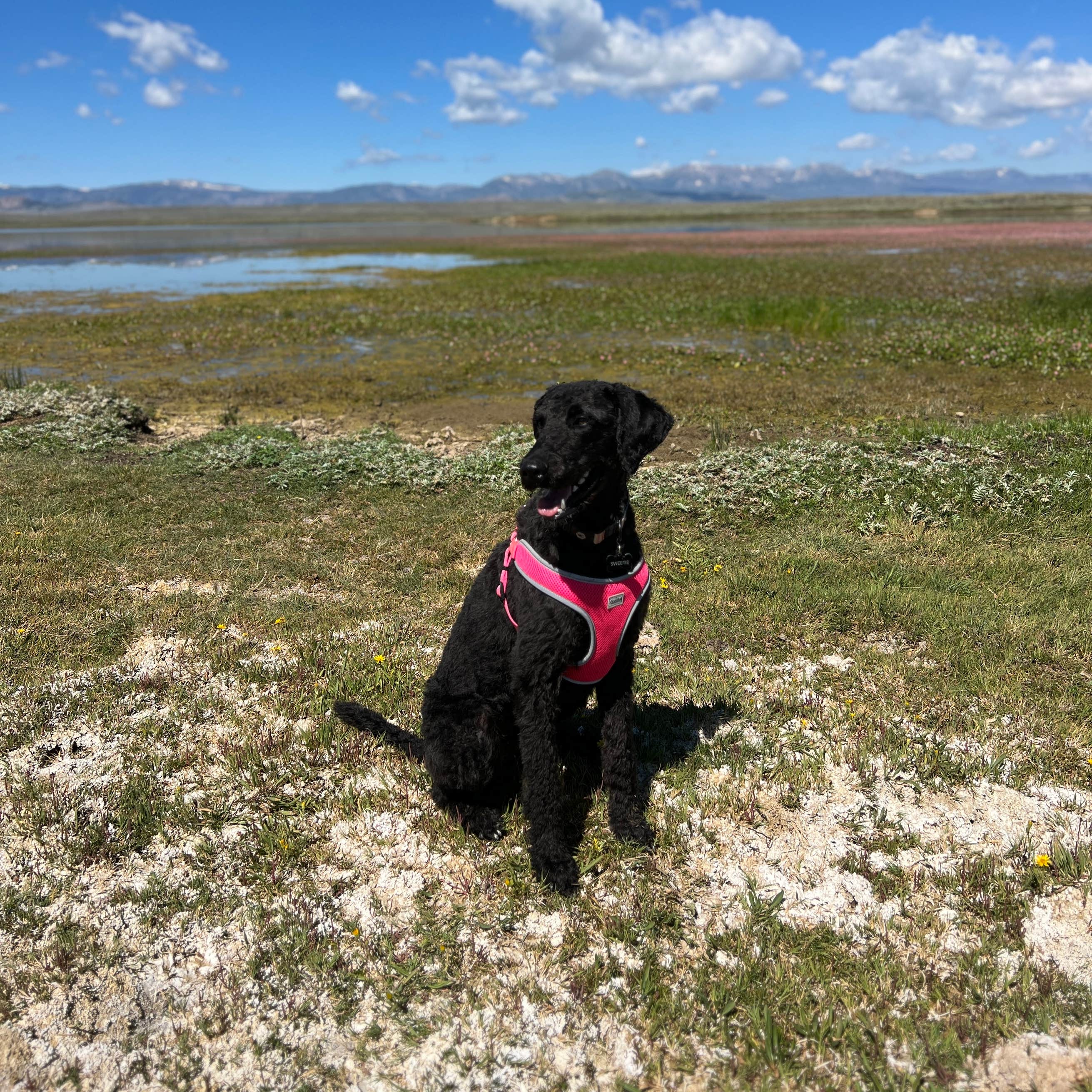 Walden Reservoir Dispersed Camping Camping The Dyrt