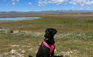 terri's photo of camping with pets at Walden Reservoir Dispersed Camping near Medicine Bow-Routt National Forests and Thunder Basin National Grassland
