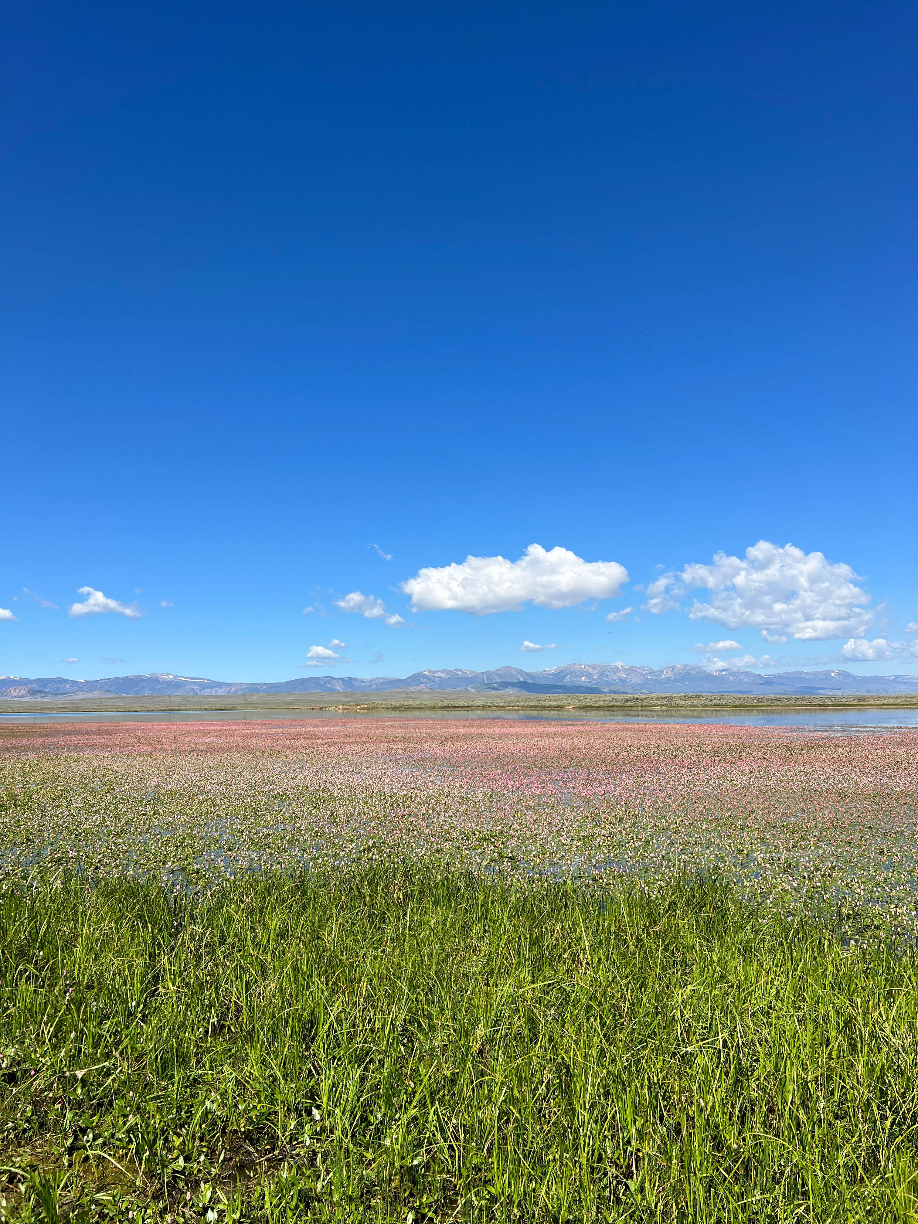 Camping near Vic & Sigrid Hanson Memorial Park: Walden Reservoir Dispersed Camping, Walden, Colorado
