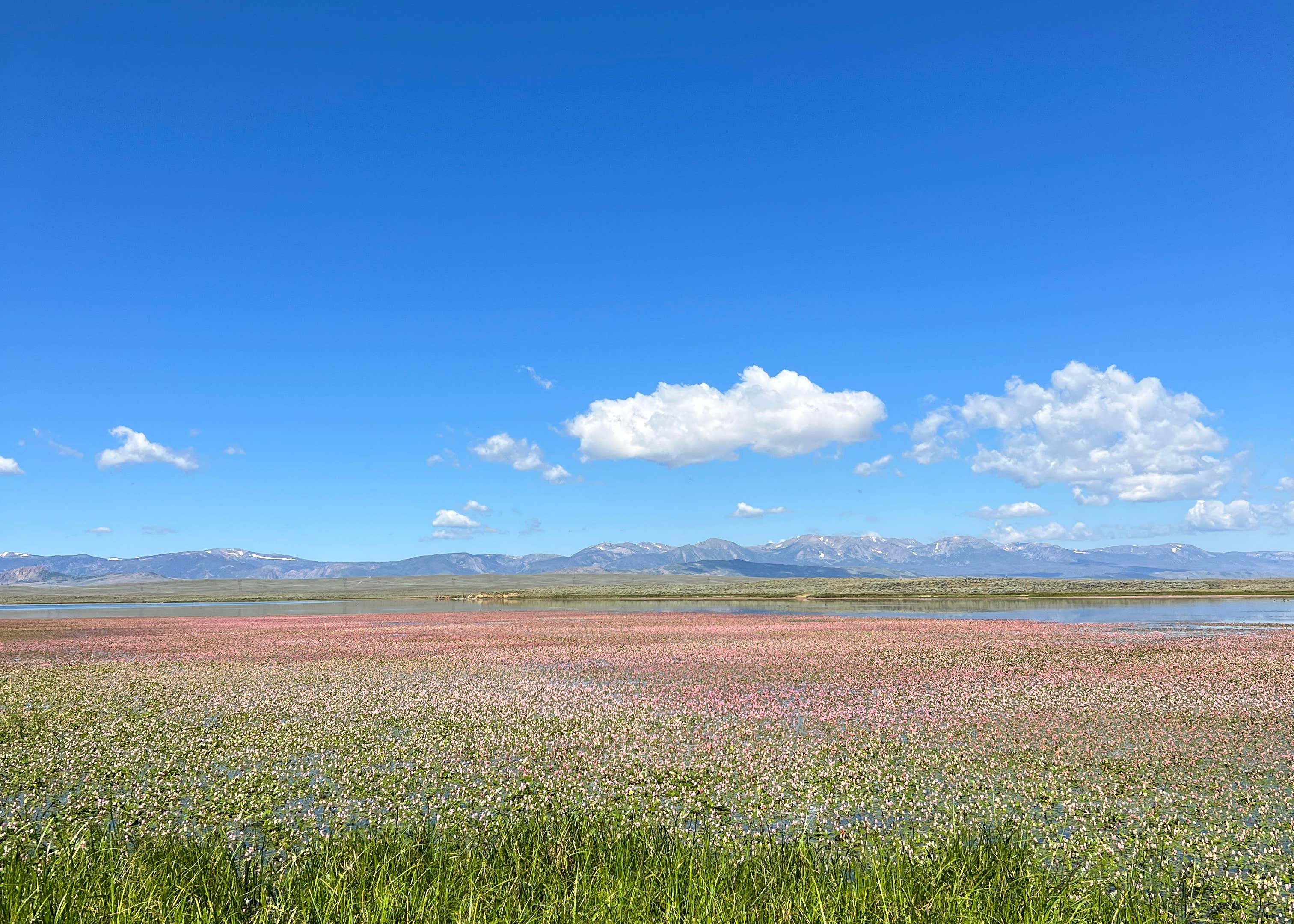 Walden Reservoir Dispersed Camping Camping The Dyrt