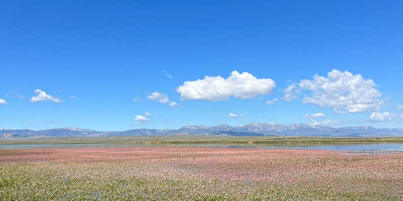 Camper submitted image from Walden Reservoir Dispersed Camping