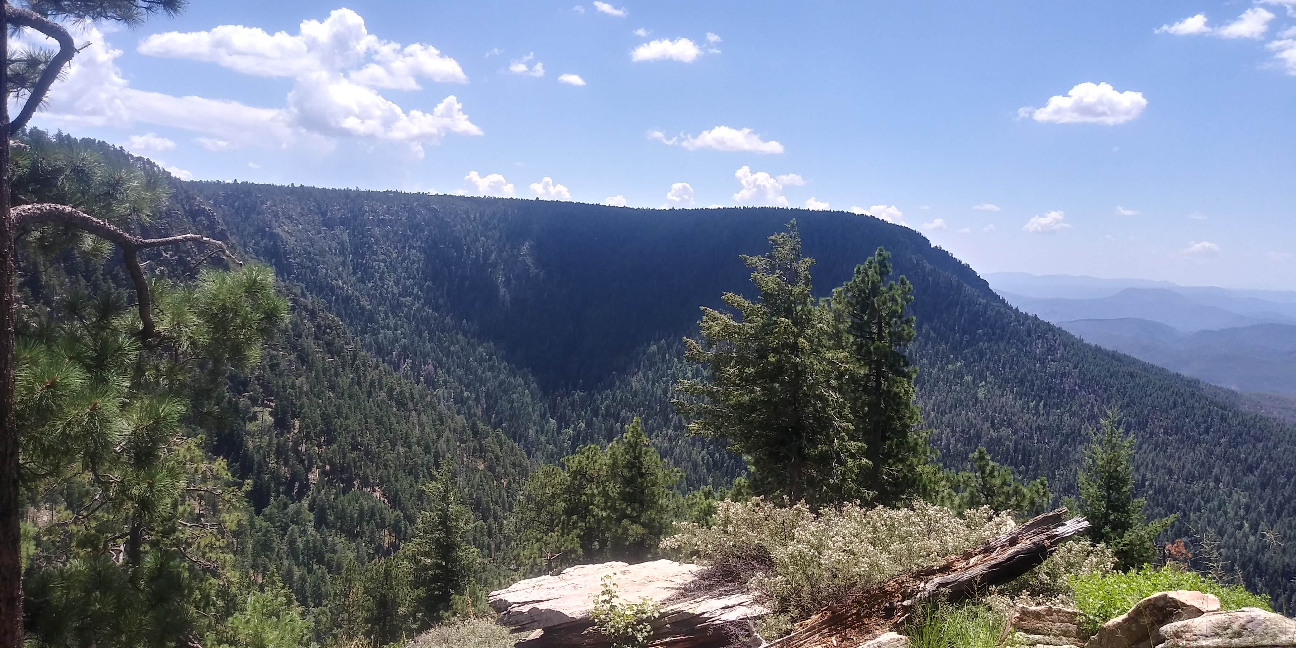 Camper-submitted photo at Dispersed Camping - Rd 6107 near Mogollon Rim near Pine, AZ