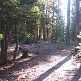 Review photo of Dispersed Camping - Rd 6107 near Mogollon Rim by Alex S., August 5, 2023