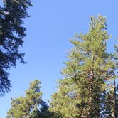 Review photo of Dispersed Camping - Rd 6107 near Mogollon Rim by Alex S., August 5, 2023