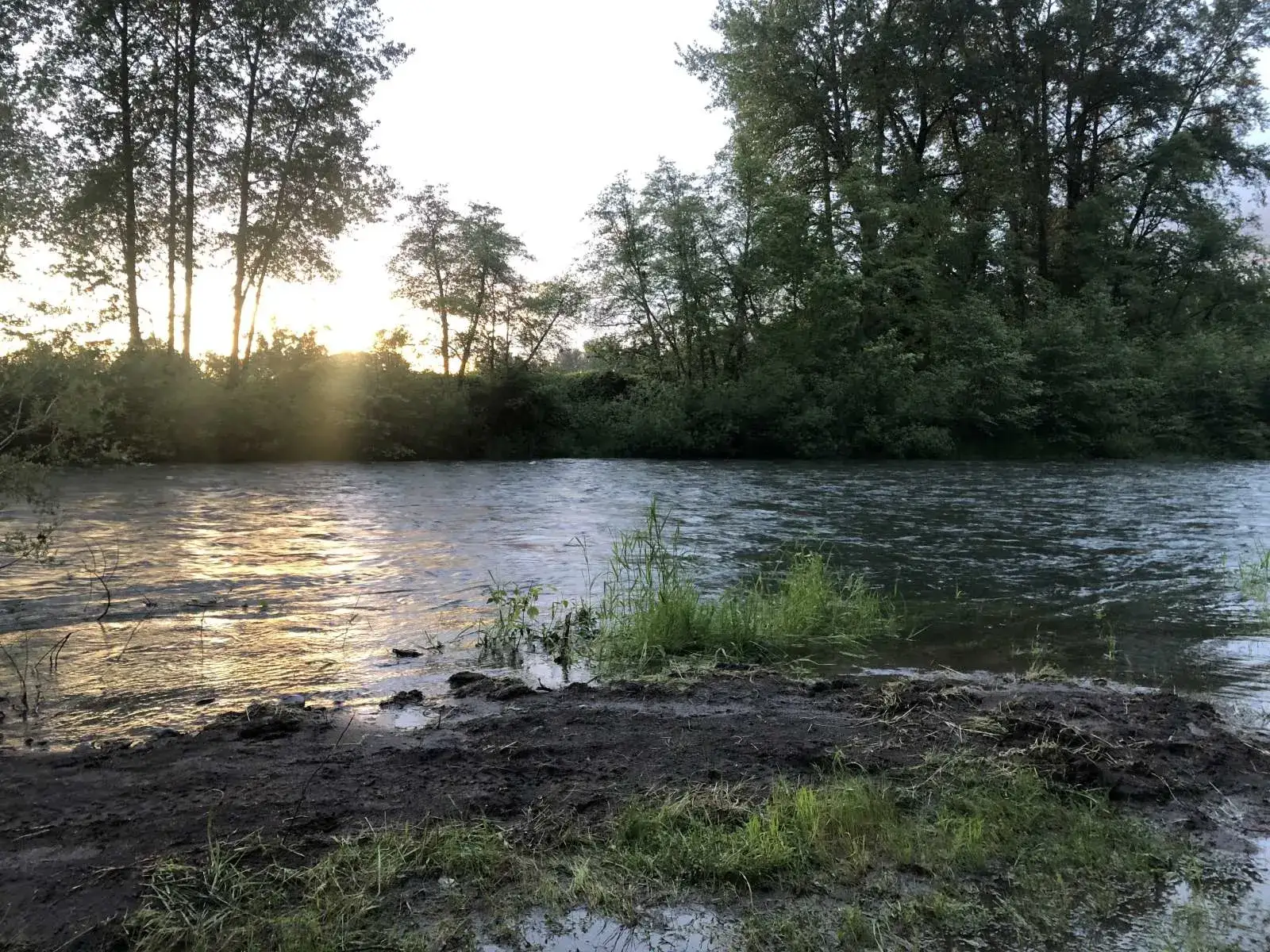 Camper-submitted photo at Molalla Ripple near Molalla, OR