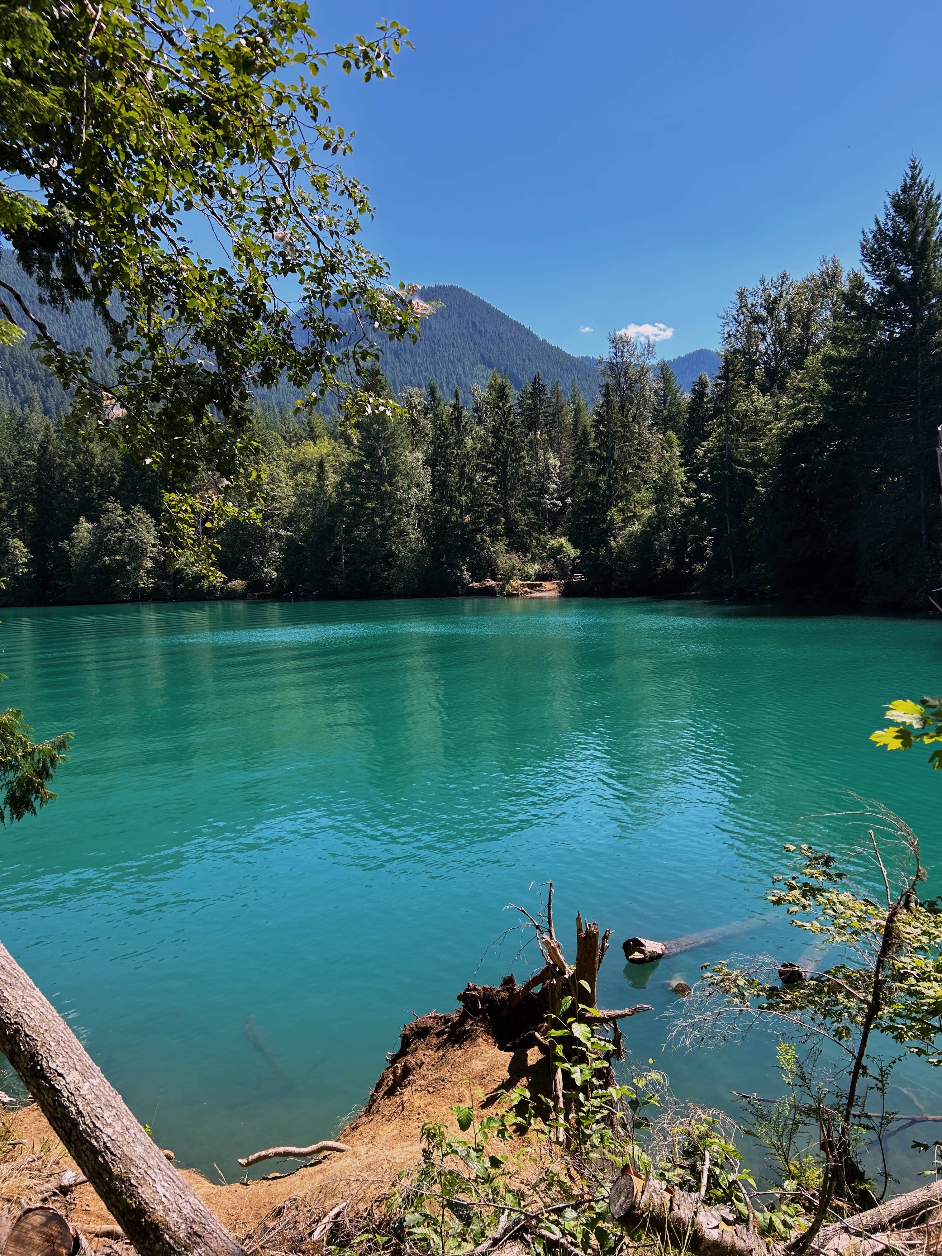 Camper submitted image from Bayview Campground (Mt. Baker-Snoqualmie National Forest, WA) - 3