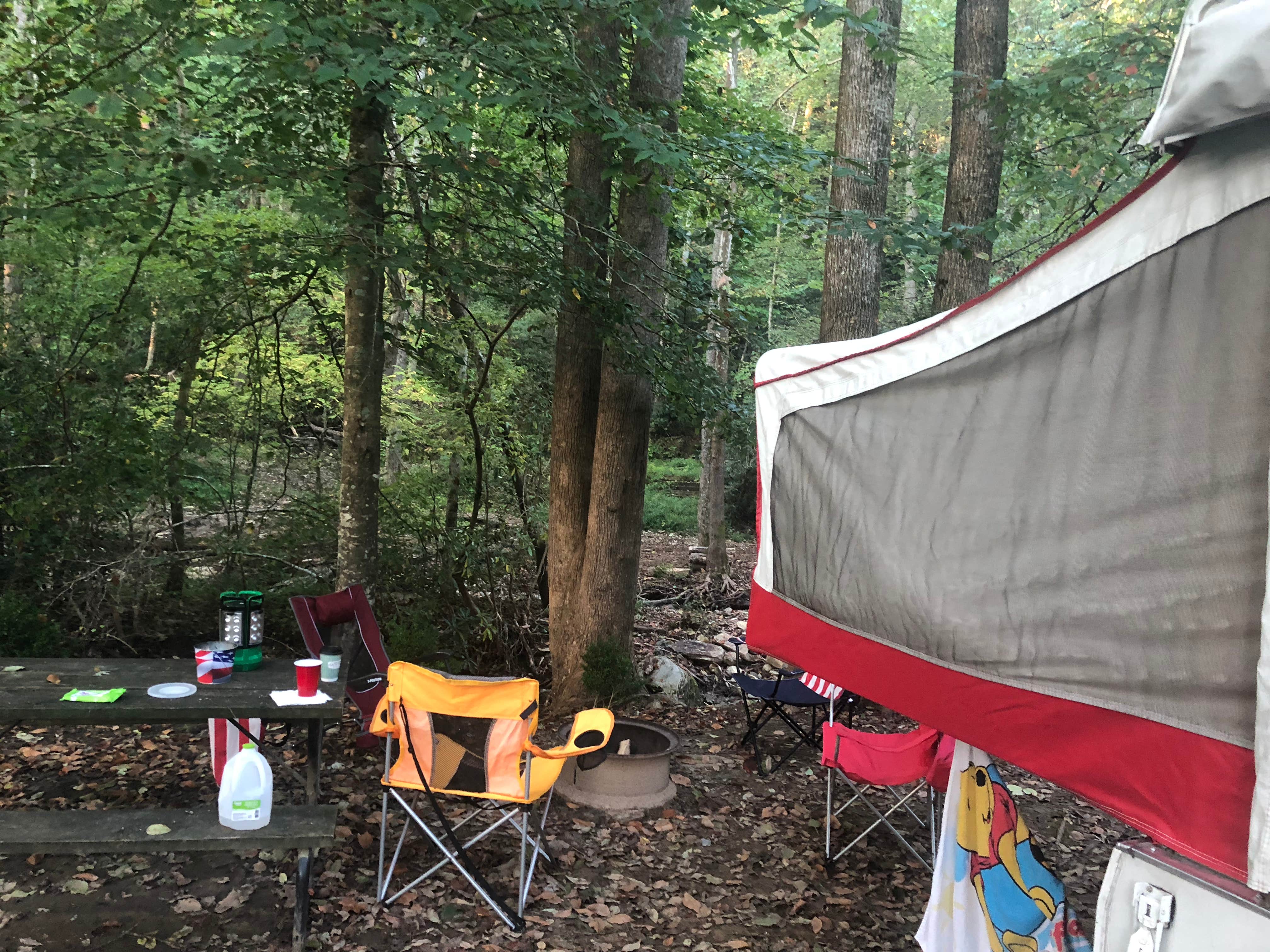Lori H.'s photo at Catawba Falls Campground - TEMPORARILY CLOSED 2025 near Gerton, NC