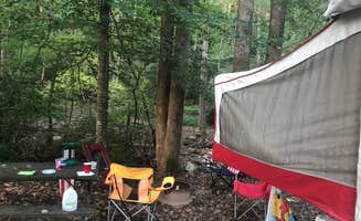 Lori H.'s photo at Catawba Falls Campground - TEMPORARILY CLOSED 2025 near Montreat, NC
