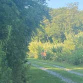 Review photo of Kittatinny Valley State Park Campground by Bee L., August 5, 2023