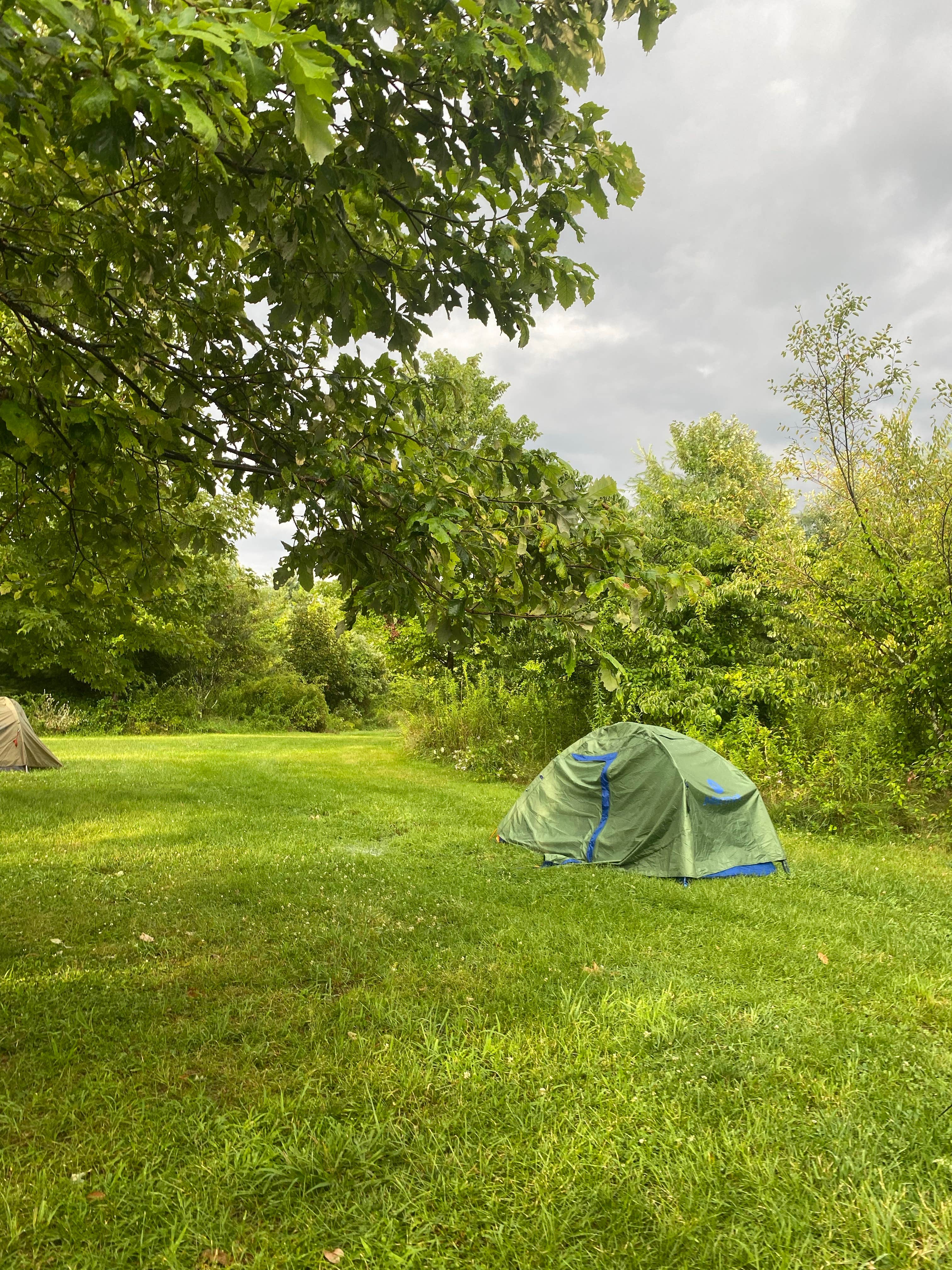 Bee L.'s photo of tent camping at Kittatinny Valley State Park Campground near Wallpack Center, NJ