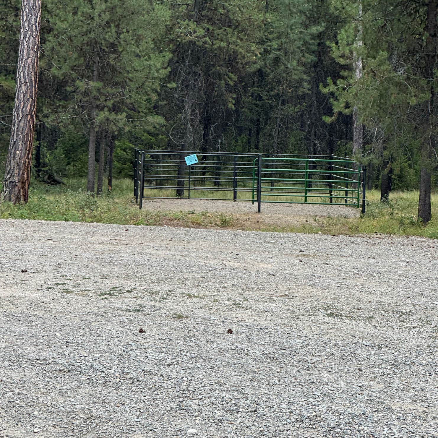 Sheldon Mountain Trailhead Camp Libby, MT