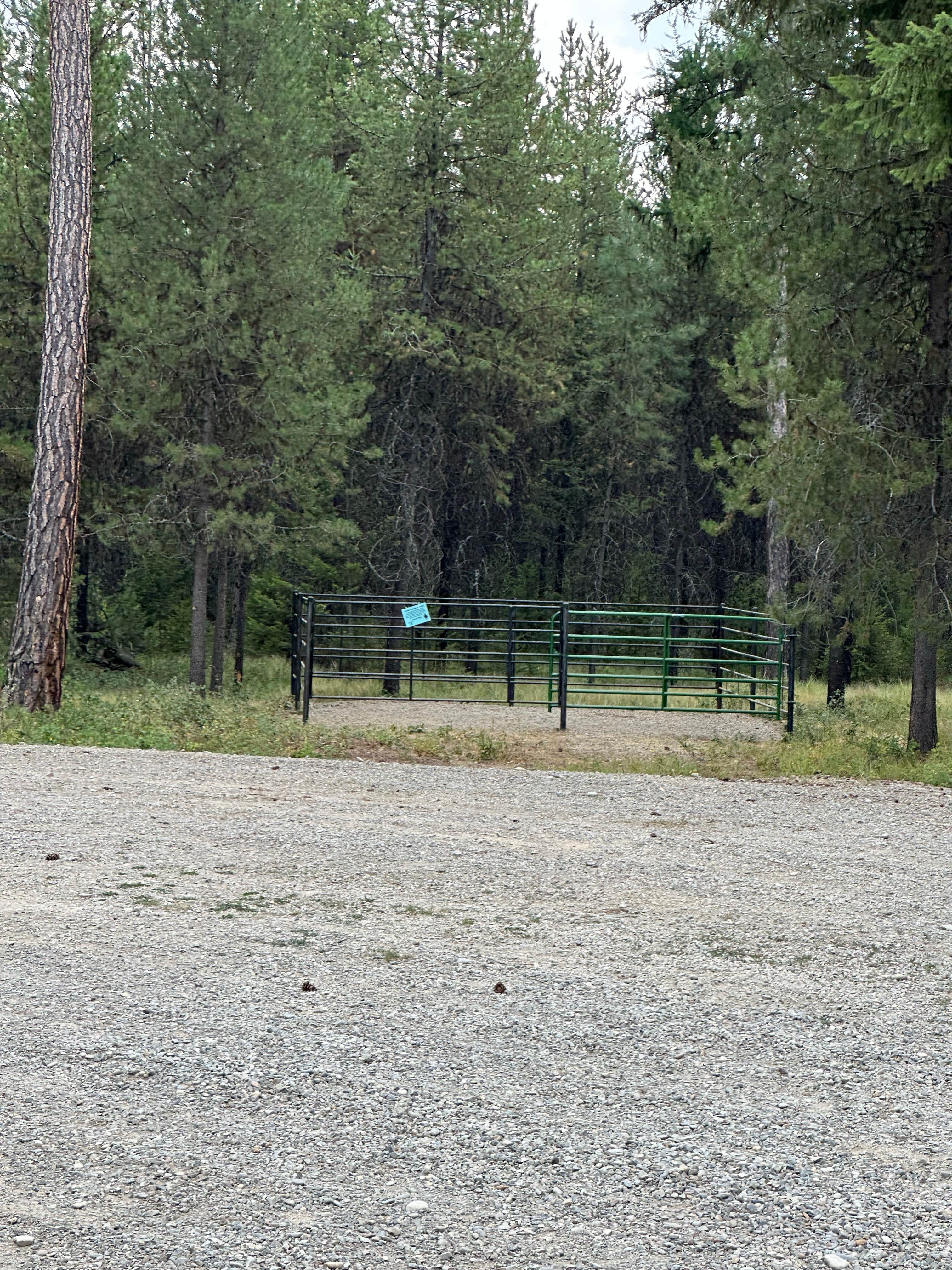 Camper submitted image from Sheldon Mountain Trailhead Camp - 3