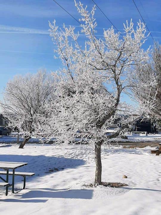 Camper-submitted photo at Falcon’s Landing RV Park near Ault, CO