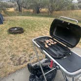 Review photo of Ginkgo Petrified Forest State Park Campground by Kurtis K., August 6, 2023