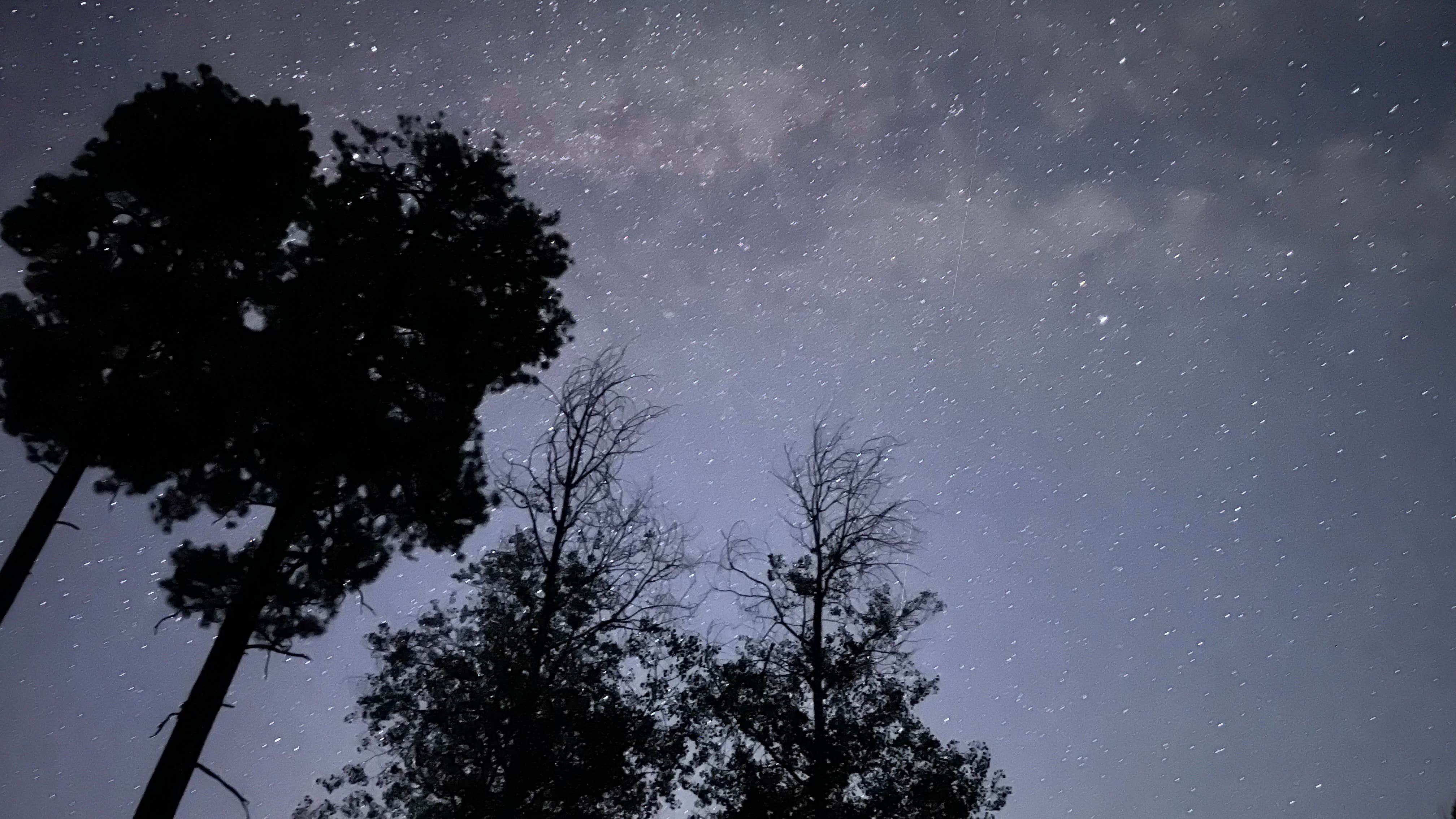 Jaime F.'s photo of a dispersed camping area at FR376 Dispersed in New Mexico