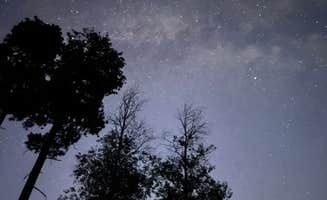 Jaime F.'s photo of a dispersed camping area at FR376 Dispersed in New Mexico