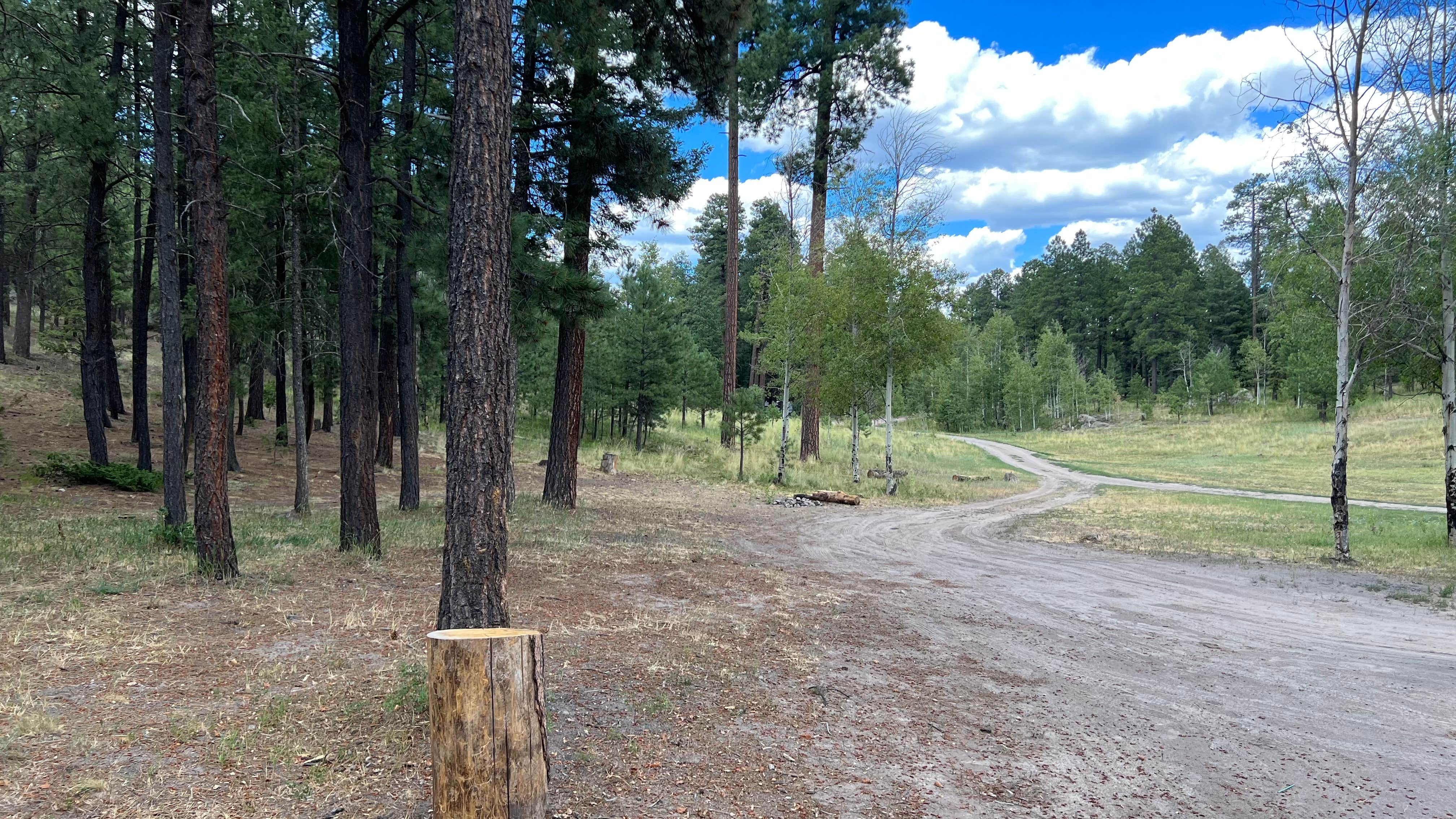 FR376 Dispersed Camping Jemez Springs, NM