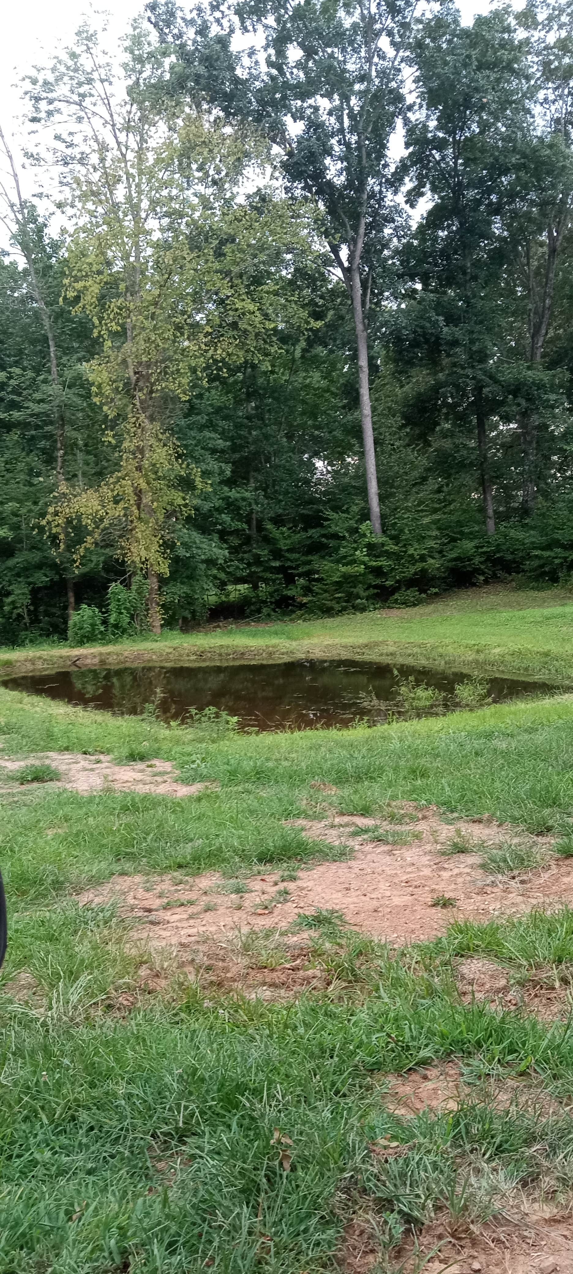 Camping near Old Mill Camp and General Store: Birdwell Farm, Rickman, Tennessee