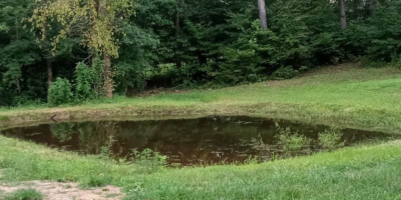 Camper submitted image from Birdwell Farm