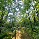 Review photo of Benton Lake Campground by Eileen T., August 6, 2023