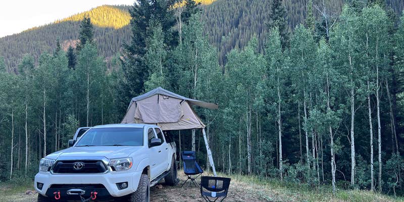 Camper submitted image from Bear Camp - Dispersed