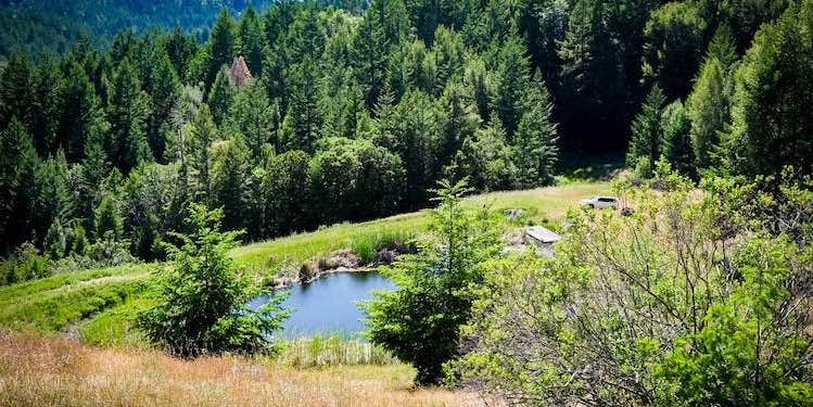 Camper submitted image from Cannabis Friendly Camping