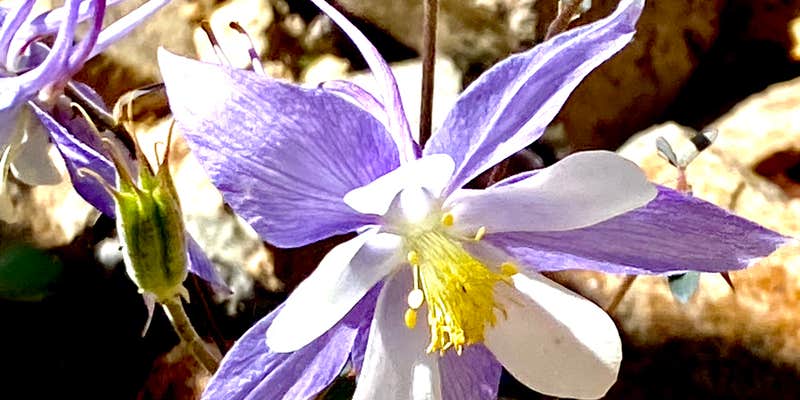 Camper submitted image from Road 240 - Dispersed