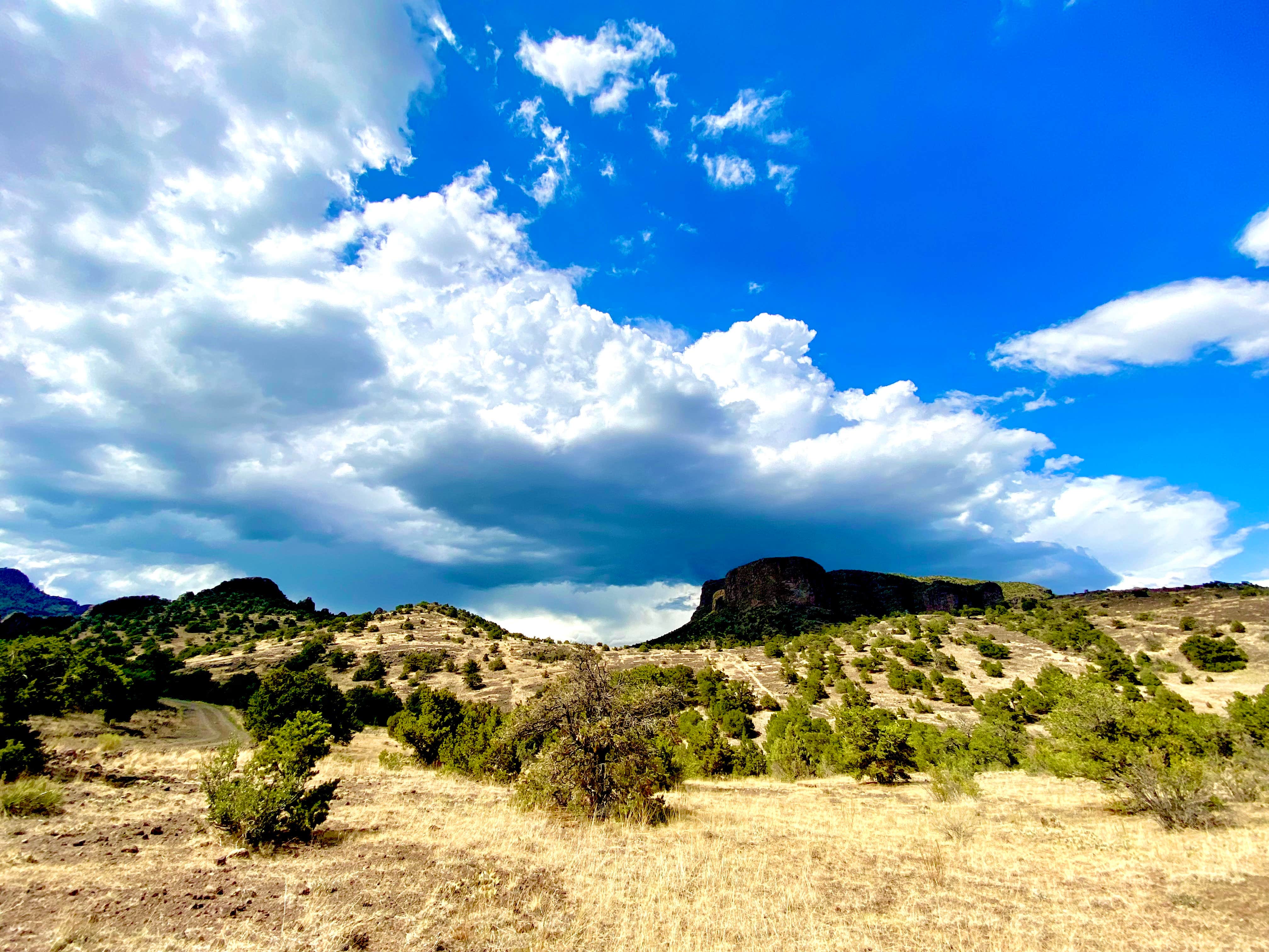 holly C.'s photo of a dispersed camping area at Natural Arch Dispersed Site near Rio Grande National Forest