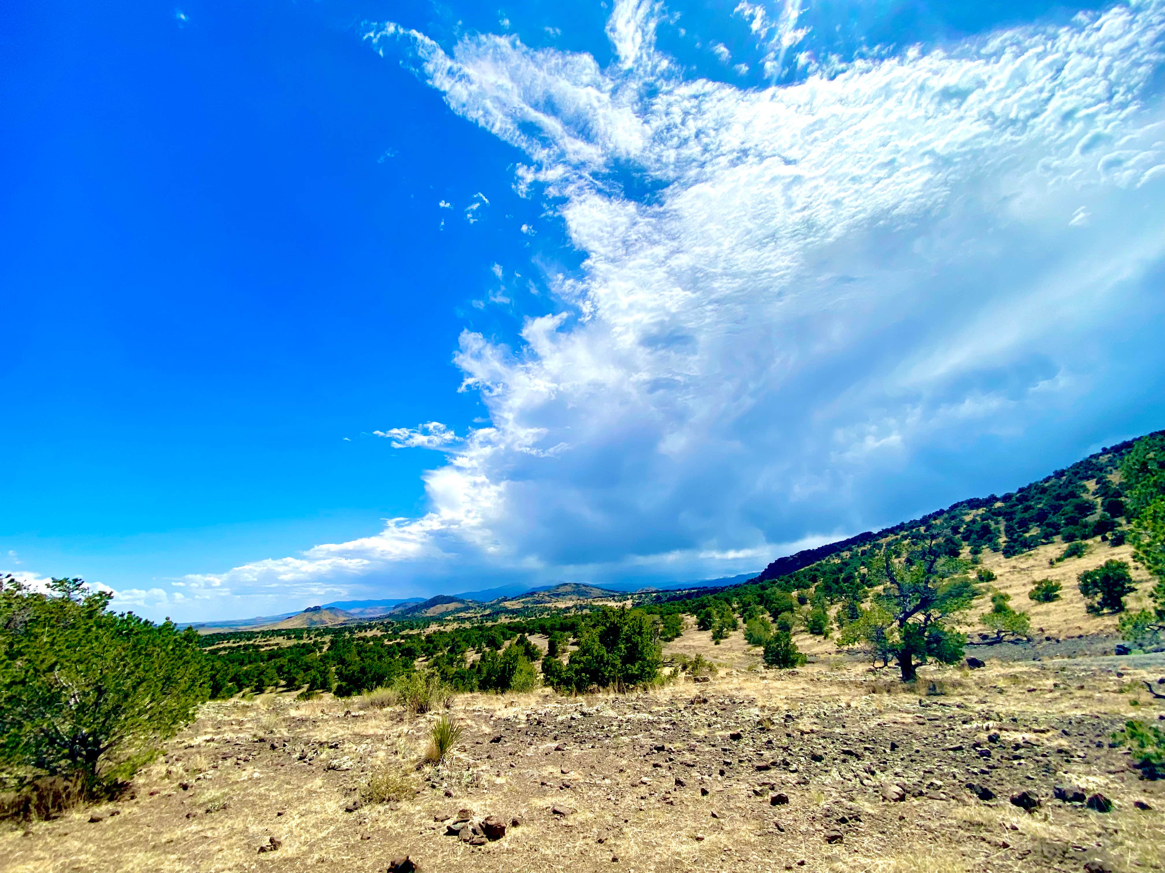 Camper-submitted photo at Natural Arch Dispersed Site near Monte Vista, CO