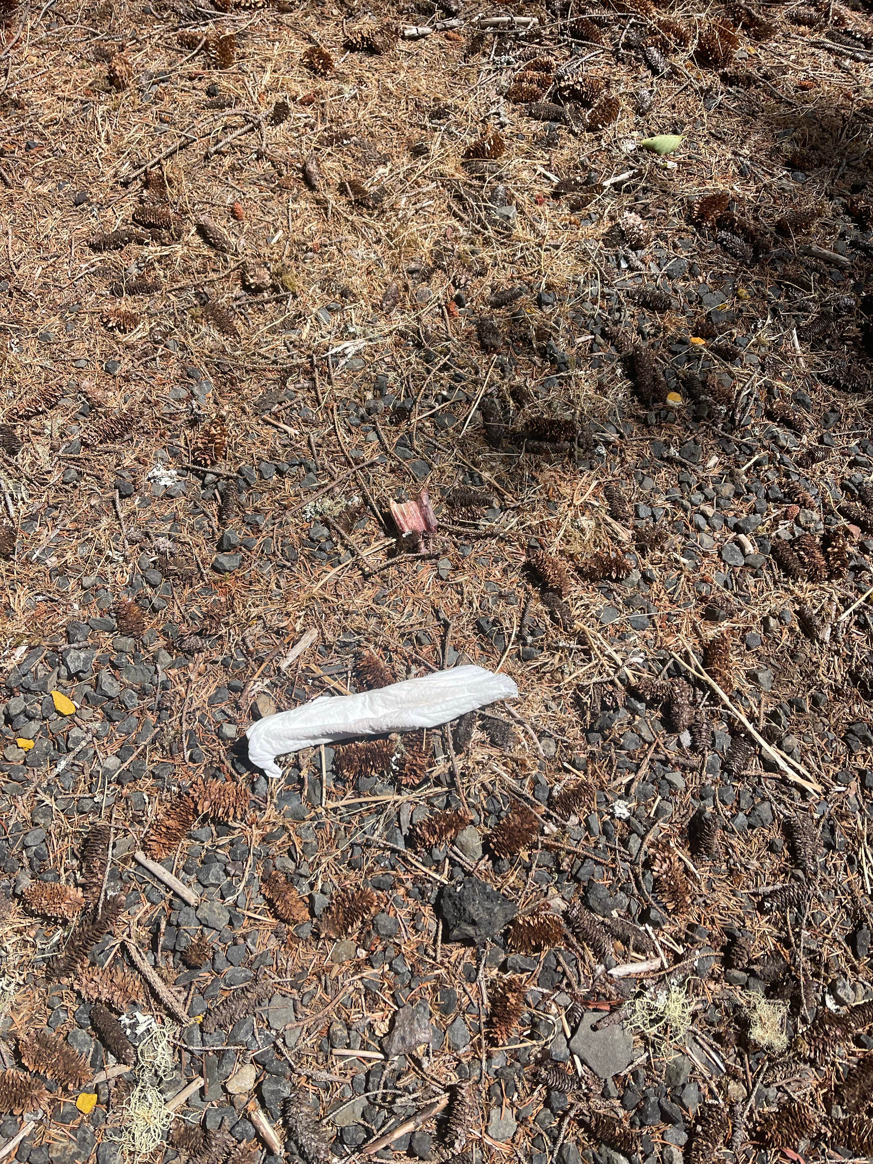 Camper-submitted photo at Wapiti RV Park near Gleneden Beach, OR