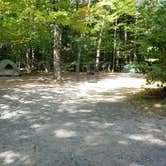 Review photo of Dry River — Crawford Notch State Park by Jean C., October 26, 2018