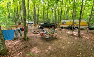 The Dyrt's photo at River Forest Campground And Outdoor Retreats near Deerbrook, WI