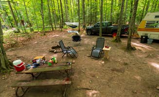The Dyrt's photo of rv camping at River Forest Campground And Outdoor Retreats near Marion, WI