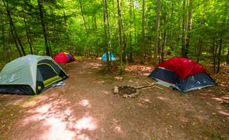 The Dyrt's photo at River Forest Campground And Outdoor Retreats near Deerbrook, WI