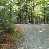 Review photo of Dry River — Crawford Notch State Park by Jean C., October 26, 2018