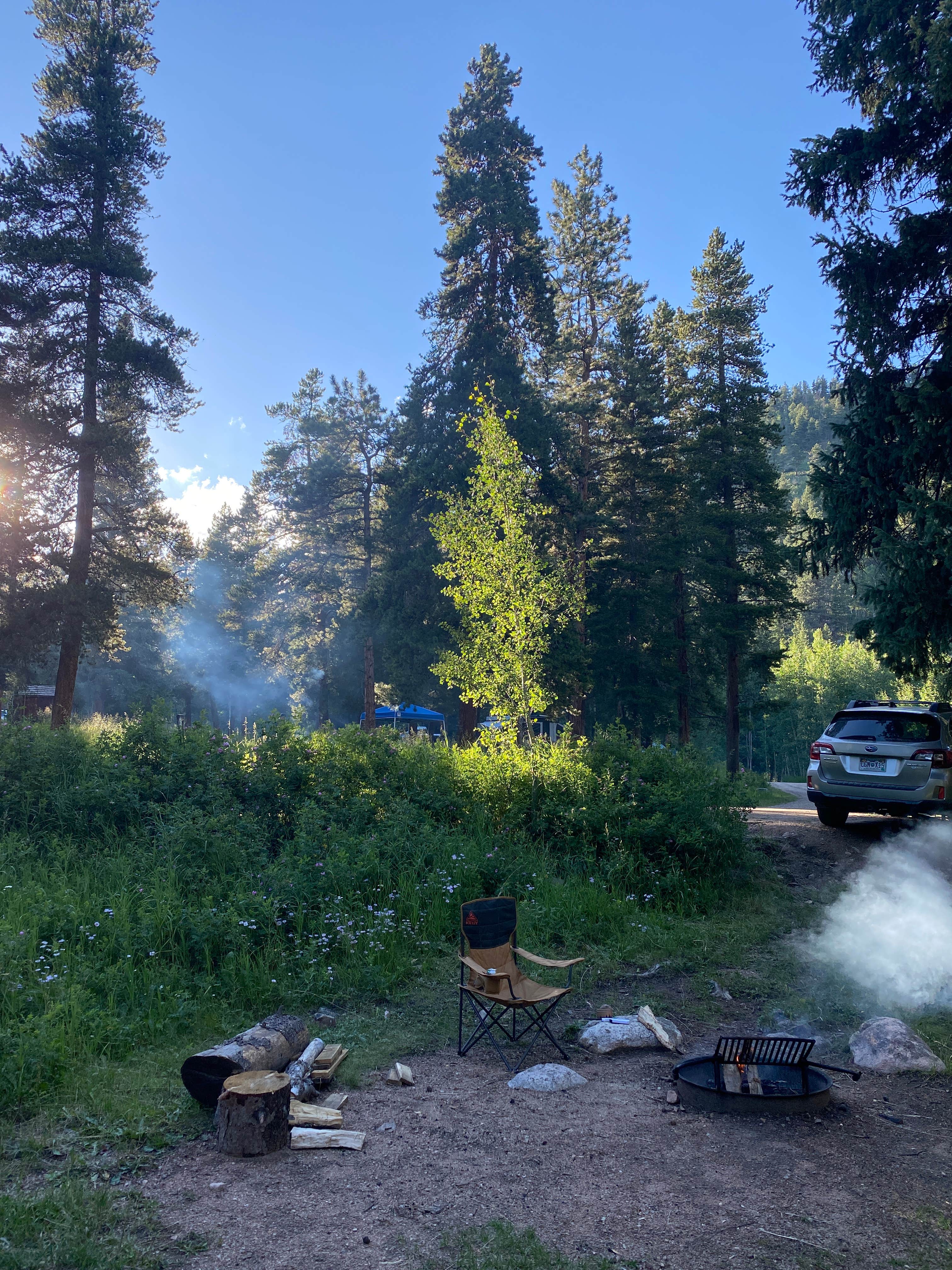 Camper-submitted photo at Deer Creek near Grant, CO