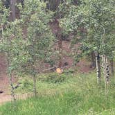 Review photo of Deer Creek by Alexandra M., August 7, 2023