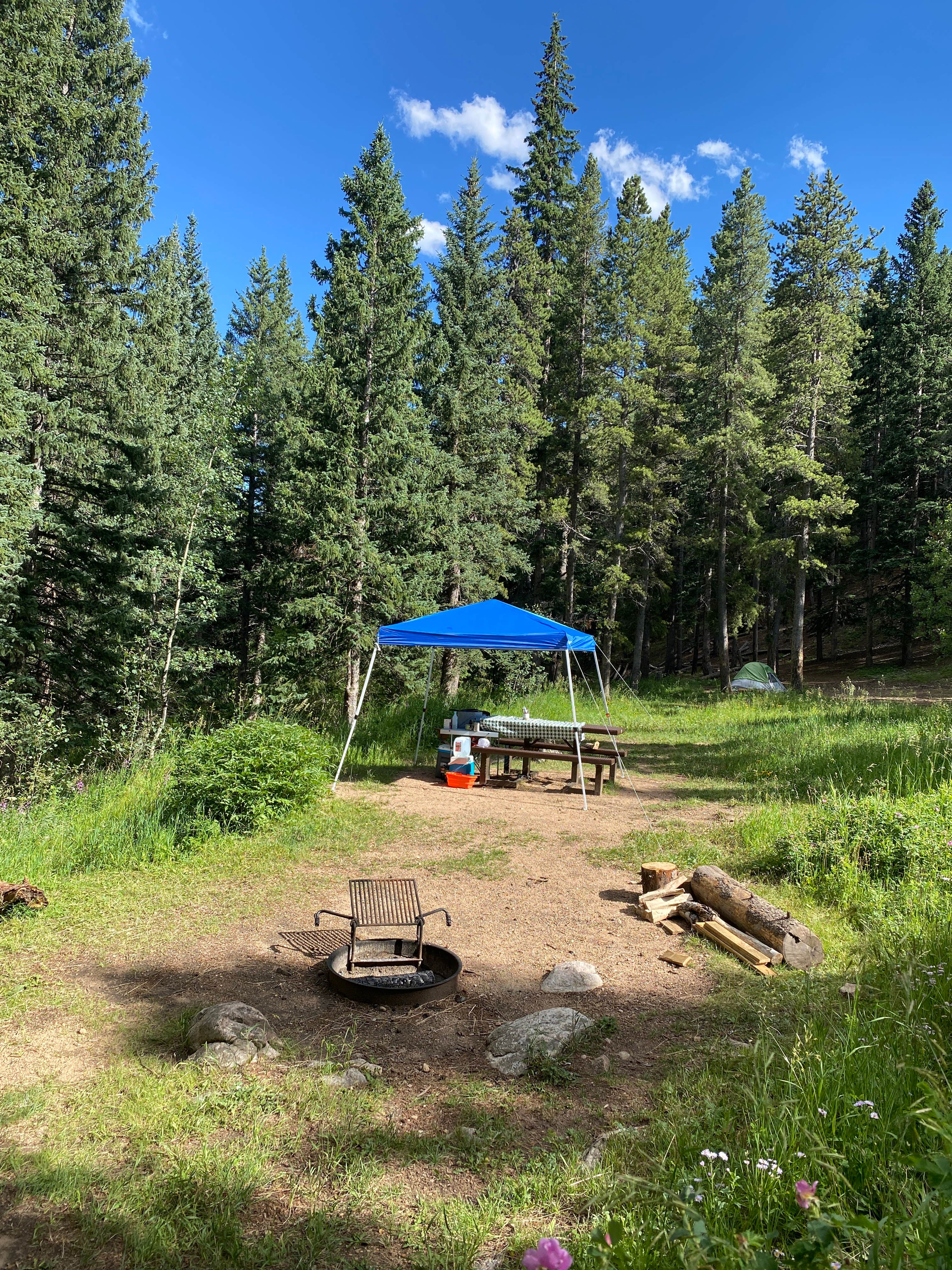 Camper-submitted photo at Deer Creek near Grant, CO