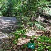 Review photo of Dry River — Crawford Notch State Park by Jean C., October 26, 2018