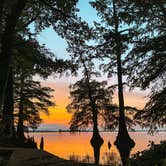 Review photo of South Campground — Reelfoot Lake State Park by Karlie , August 7, 2023