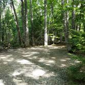 Review photo of Dry River — Crawford Notch State Park by Jean C., October 26, 2018