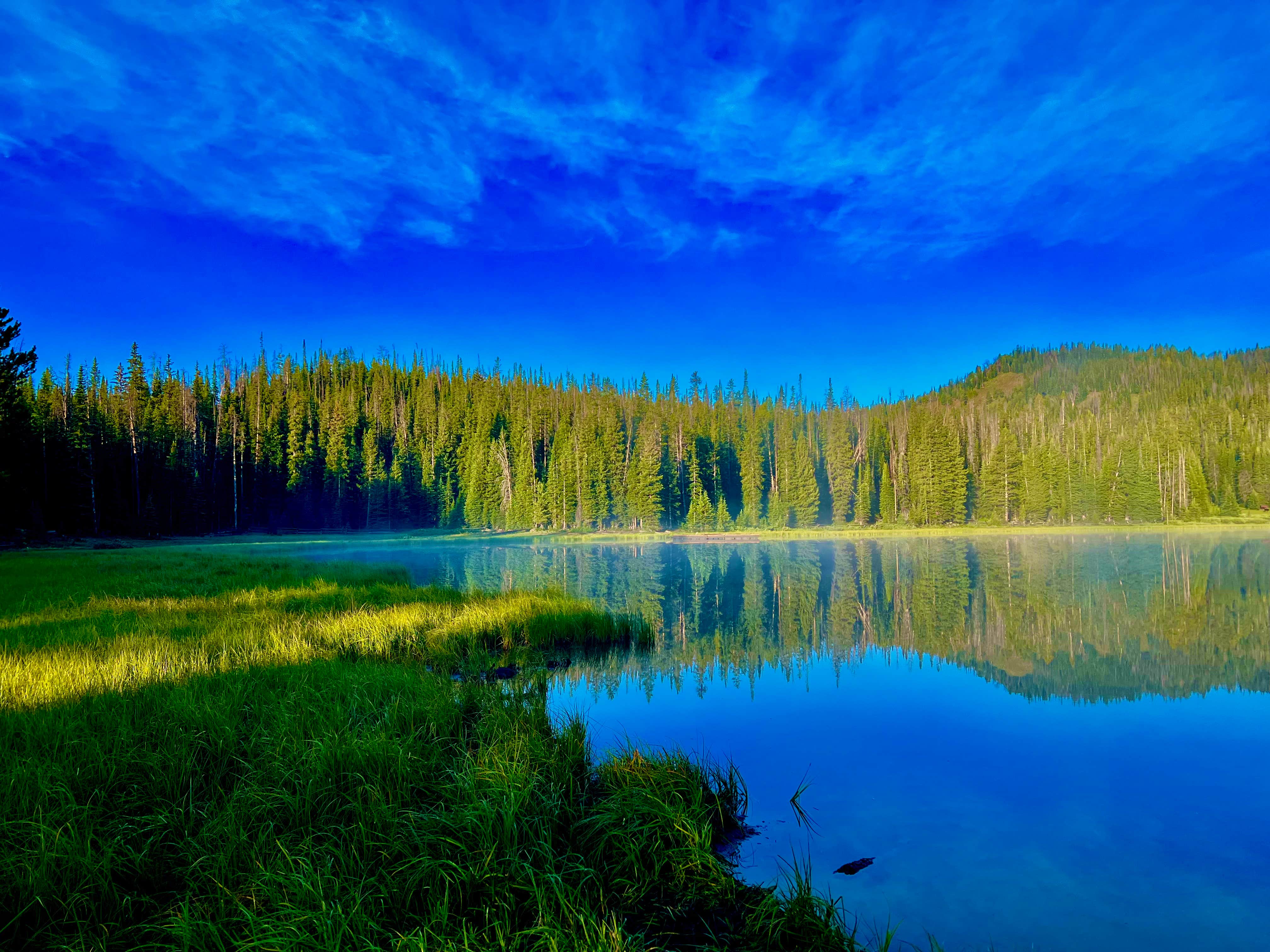 Camper-submitted photo at Big Bayhorse near Challis, ID