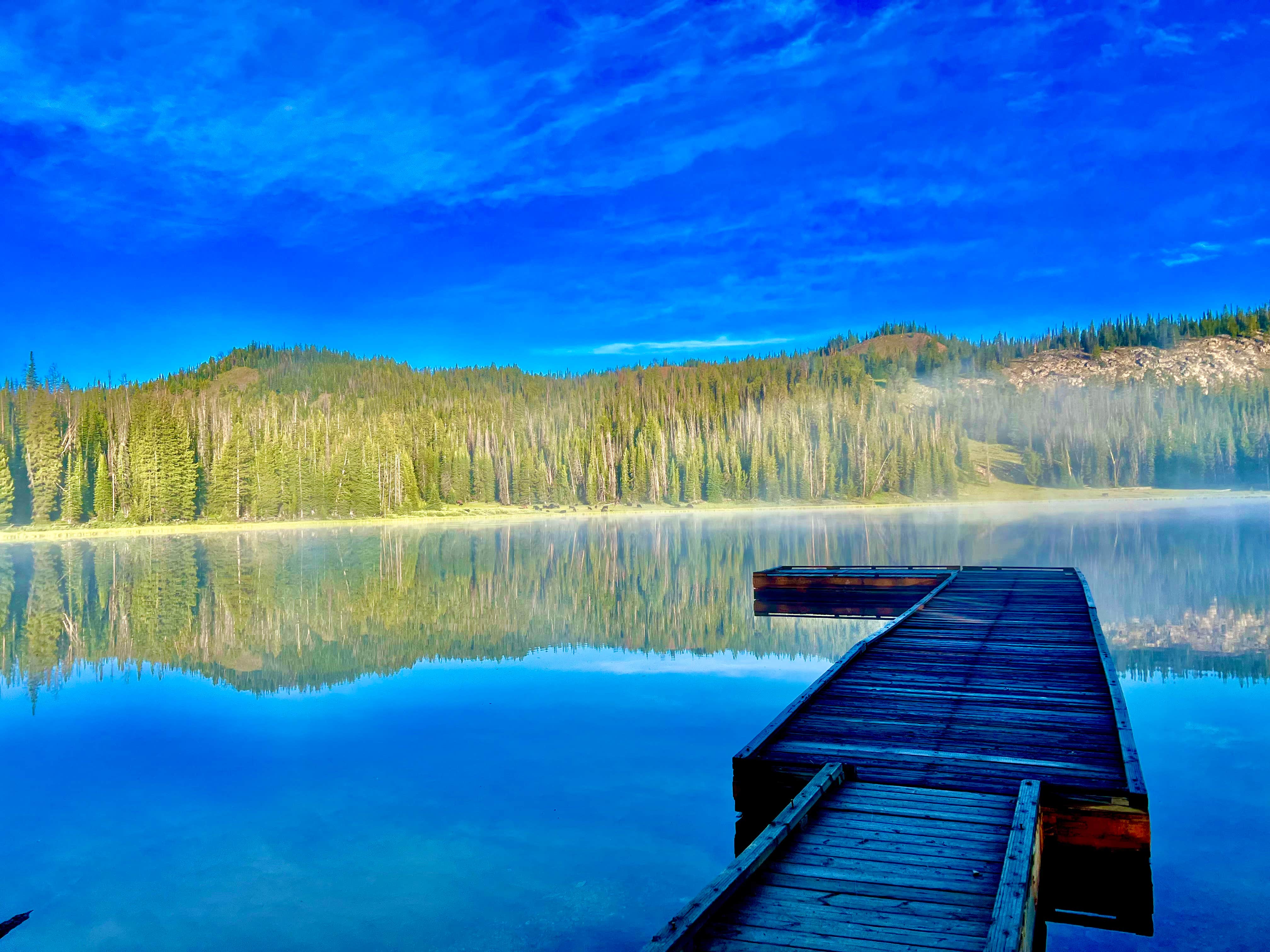 Camper-submitted photo at Big Bayhorse near Challis, ID