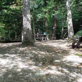 Review photo of Dry River — Crawford Notch State Park by Jean C., October 26, 2018