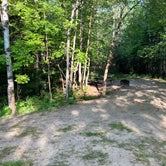 Review photo of Woodenfrog Campground by Roger W., August 7, 2023